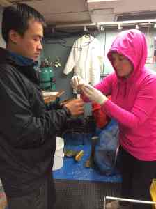 Researchers Dr. Sarah Fawcett (right) and doctoral candidate Jimmy Ji (left) prepare a McLane filter for further analysis back at Princeton